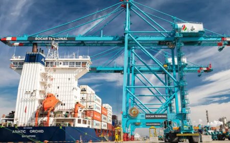 MSC, SOCAR Terminal’in Yüzde 50’sine Talip: Ege’nin En Büyük Limanında Ortaklık Dönemi