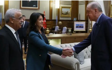 İmralı Heyeti Erdoğan’la görüştü:  Sürecin hızlı ve sağlıklı ilerlemesi için fikir birliği