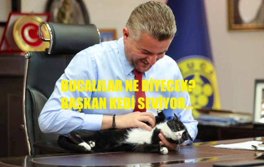 Kedili Paylaşım Ters Tepki Yarattı: Buca’da “Sevgi” Mesajı, Çöp ve Maaş Krizi Gölgesinde