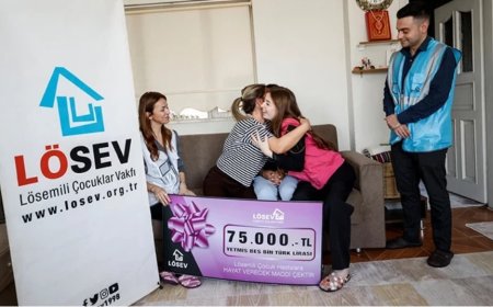 LÖSEV: Harekete geçmeli — her gün 600 kişi ölüyor