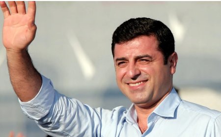AİHM uzmanı Altıparmak: Demirtaş kararı şu anda uygulanmalı