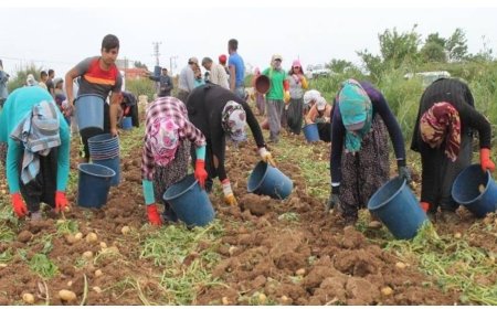 Hükümet tersine göçü teşvik edecek: Köye dönene hibe geliyor
