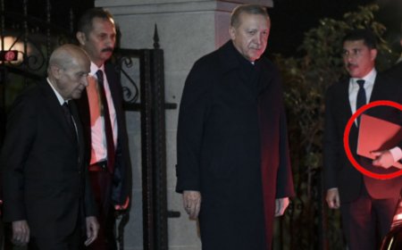 Erdoğan ve Bahçeli görüşmesine kırmızı dosya damgası: İçerikte ne vardı?