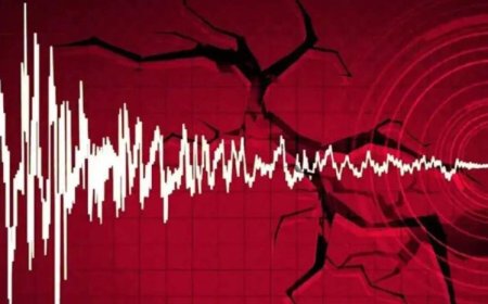 Balıkesir Sındırgı’da 4.1 büyüklüğünde deprem: Çevre illerde hissedildi