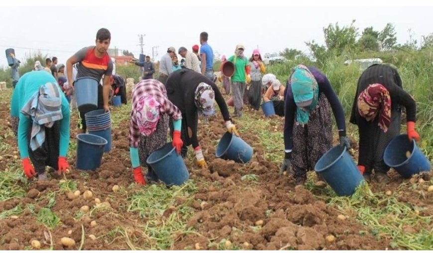 Hükümet tersine göçü teşvik edecek: Köye dönene hibe geliyor