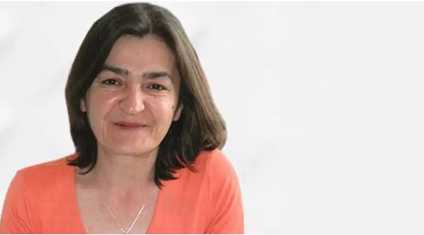 Kerkük'te Vali Tartışması ve Süleymaniye Uçuş Yasağının Kaldırılması Ankara'nın Politikası