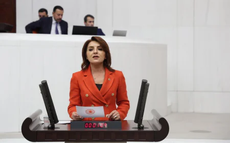 Gülcan Kış: Hazine borcu 13,7 trilyona çıktı, maliye kilitlendi