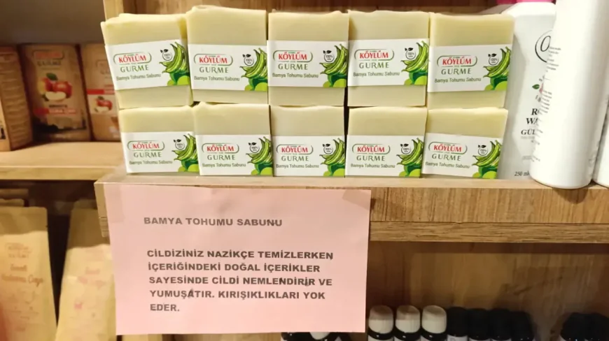 Meşhur Taşova bamyasından sabun üretildi: Yerli alternatif