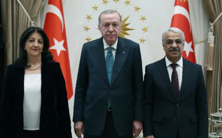 Erdoğan-DEM görüşmesi: 'Sürecin devamı için ortak irade'