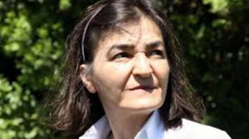 Yerel Yönetimler Özerklik Şartı nedir? İmralı'nın yeni talepleri