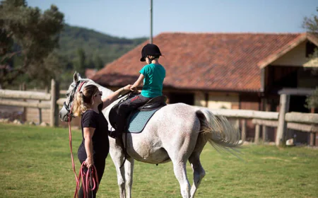 Urla'da Ekoturizm ve Binicilik Yükselişte: Yatırımcılar ve İşletmeciler İçin Kapsamlı Rehber