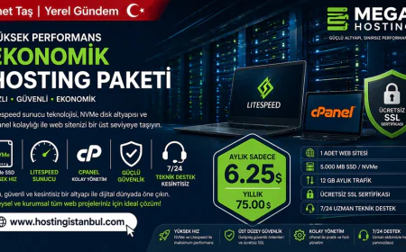 Mega Hosting'den bütçe dostu yeni NVMe barındırma paketi