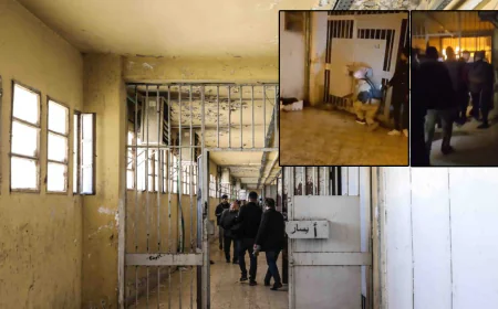 Sednaya zindanından 1,5 yıl sonra çıkan sarsıcı görüntüler