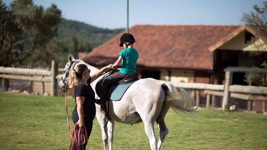 Urla'da Ekoturizm ve Binicilik Yükselişte: Yatırımcılar ve İşletmeciler İçin Kapsamlı Rehber