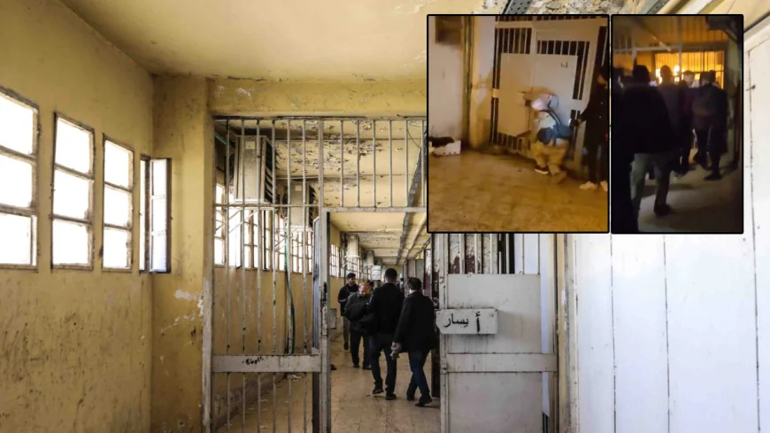 Sednaya zindanından 1,5 yıl sonra çıkan sarsıcı görüntüler