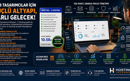 Web tasarımcılar için pasif gelir modeli: Bireysel 2 Hosting